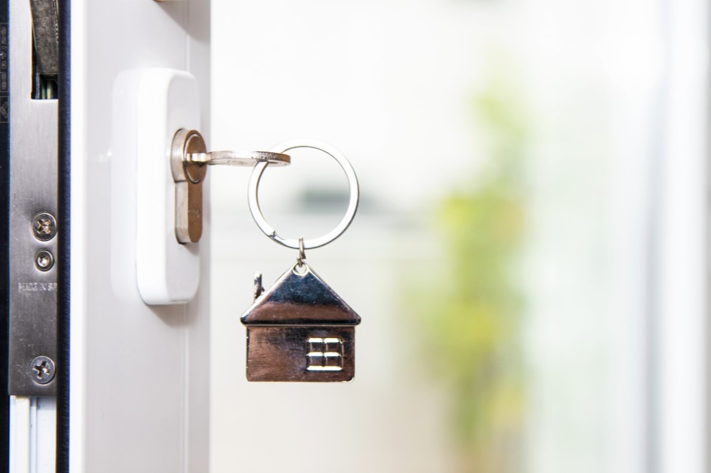 usurpación de propiedades